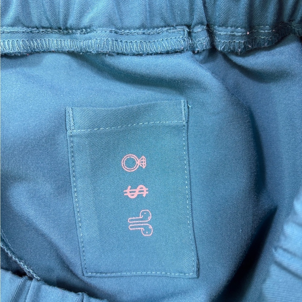 FIGS Women’s Zamora Jogger Scrub Pants in Pacific Blue |
Size XXL/P - Picture 9 of 10